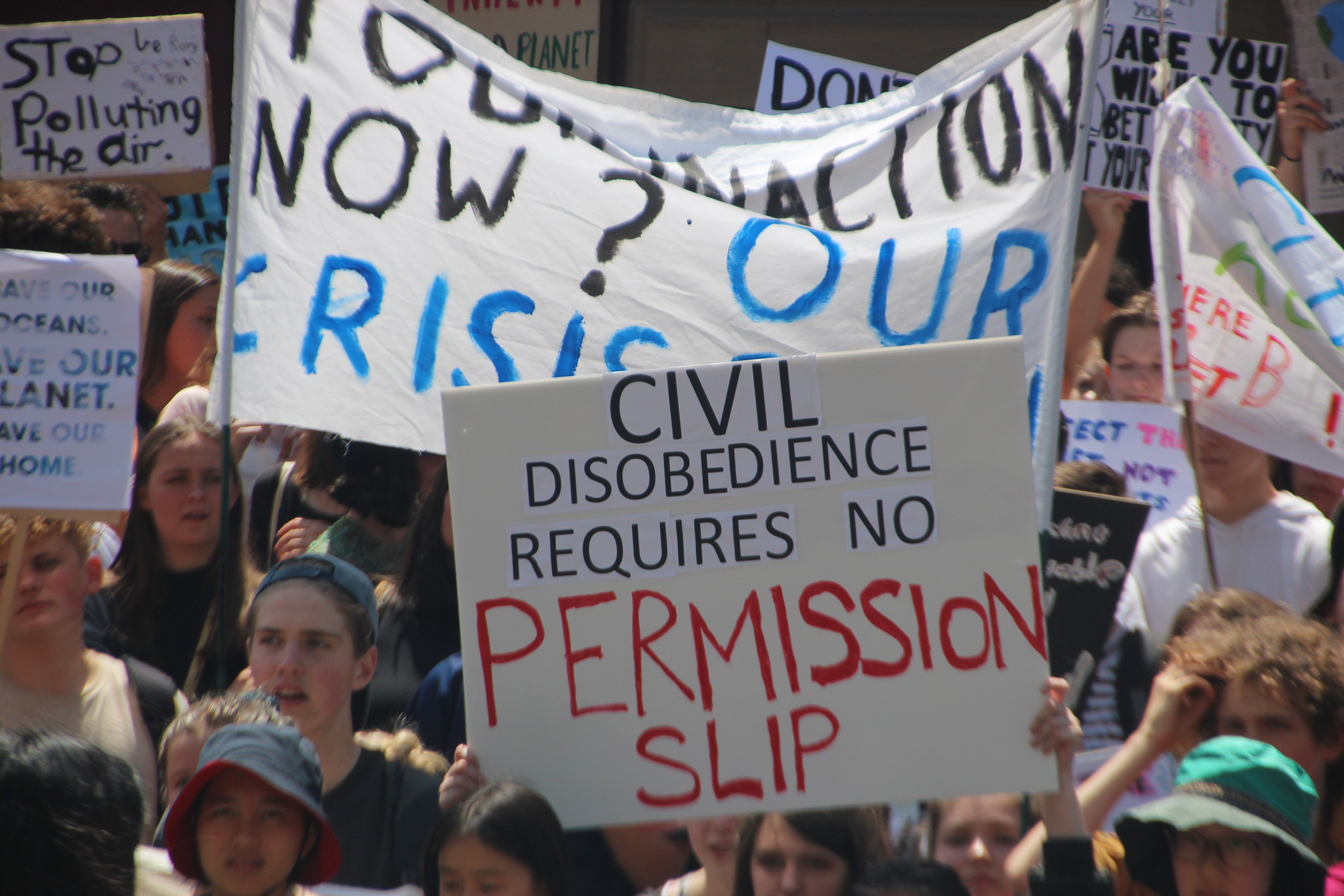 Civil Disobedience and the Separation of Powers – Political Animal Magazine